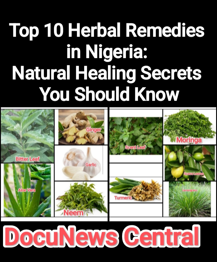 Top 10 Herbal Remedies in Nigeria | DocuNews Central