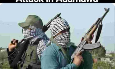18 Dead In Boko Haram attack in Adamawa Picture showing two gun men