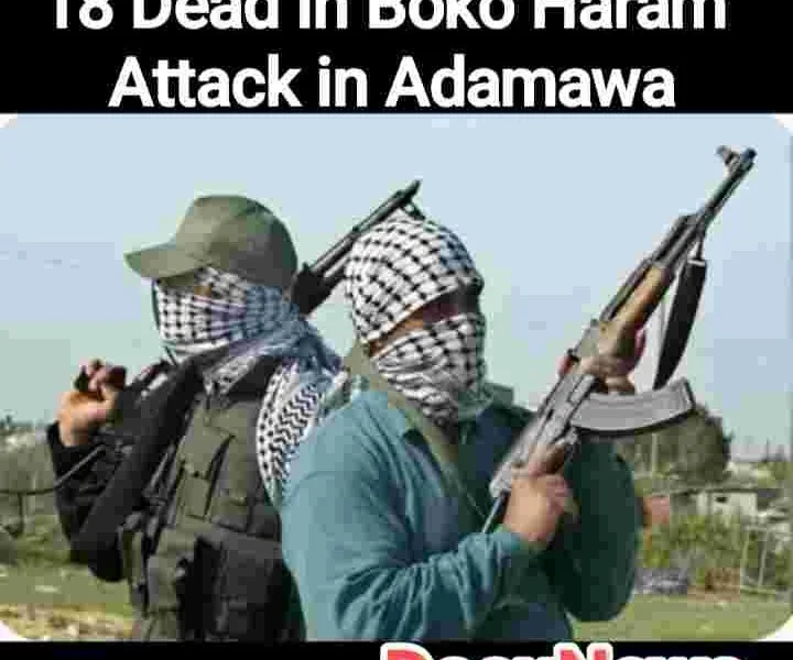 18 Dead In Boko Haram attack in Adamawa Picture showing two gun men