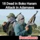 18 Dead In Boko Haram attack in Adamawa Picture showing two gun men