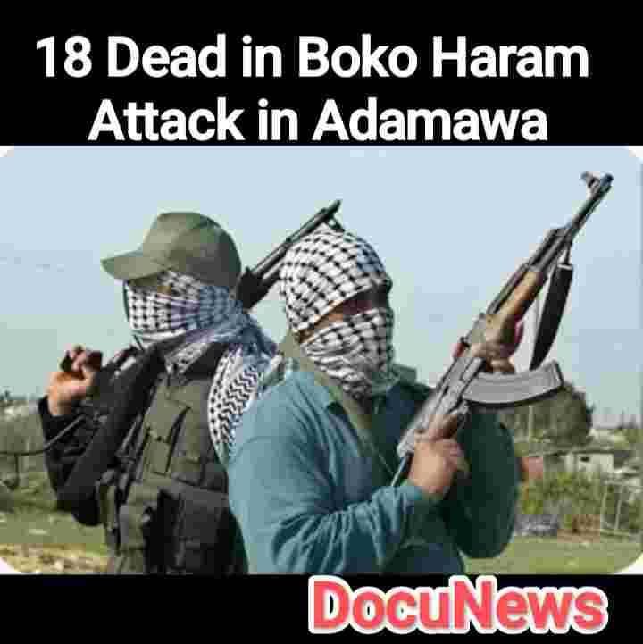 18 Dead In Boko Haram attack in Adamawa Picture showing two gun men