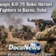 Nigerian troops kill 29 Boko Haram fighters during operation in Borno and Yobe