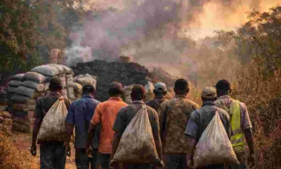 QAAGO4wKIAAAAAElFTkSuQmCC